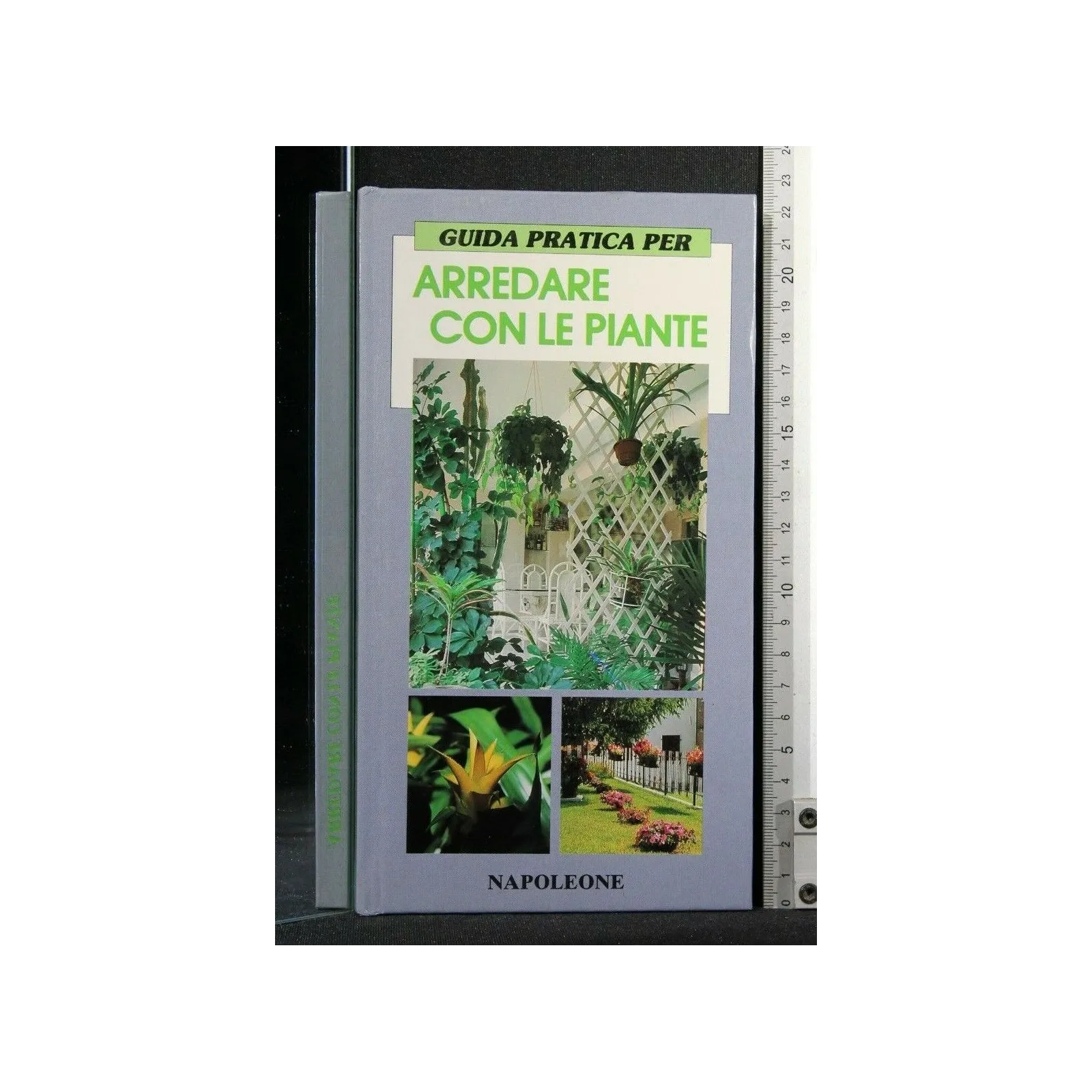 GUIDA PRATICA PER ARREDARE CON LE PIANTE