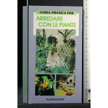 GUIDA PRATICA PER ARREDARE CON LE PIANTE
