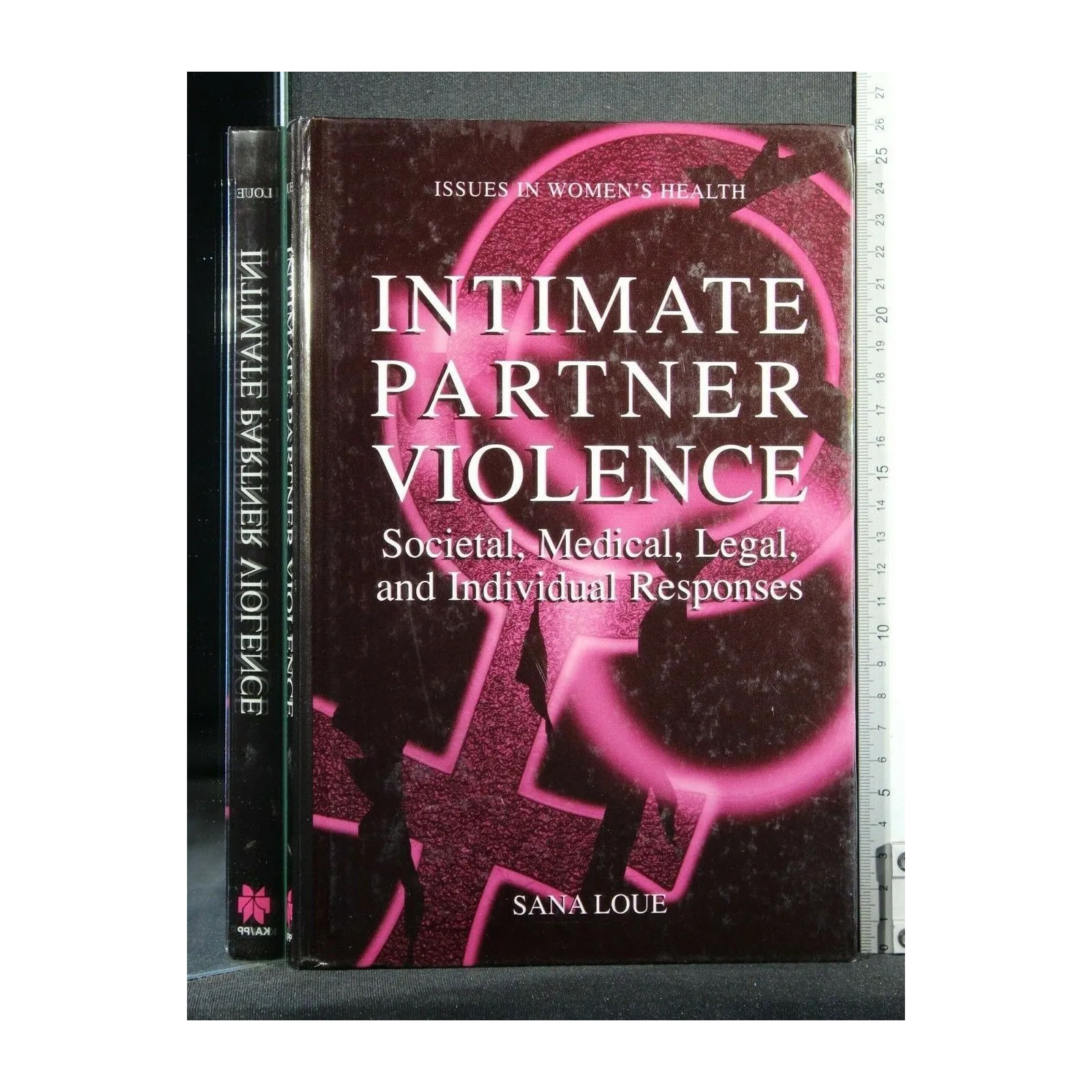 INTIMATE PARTNER VIOLENCE