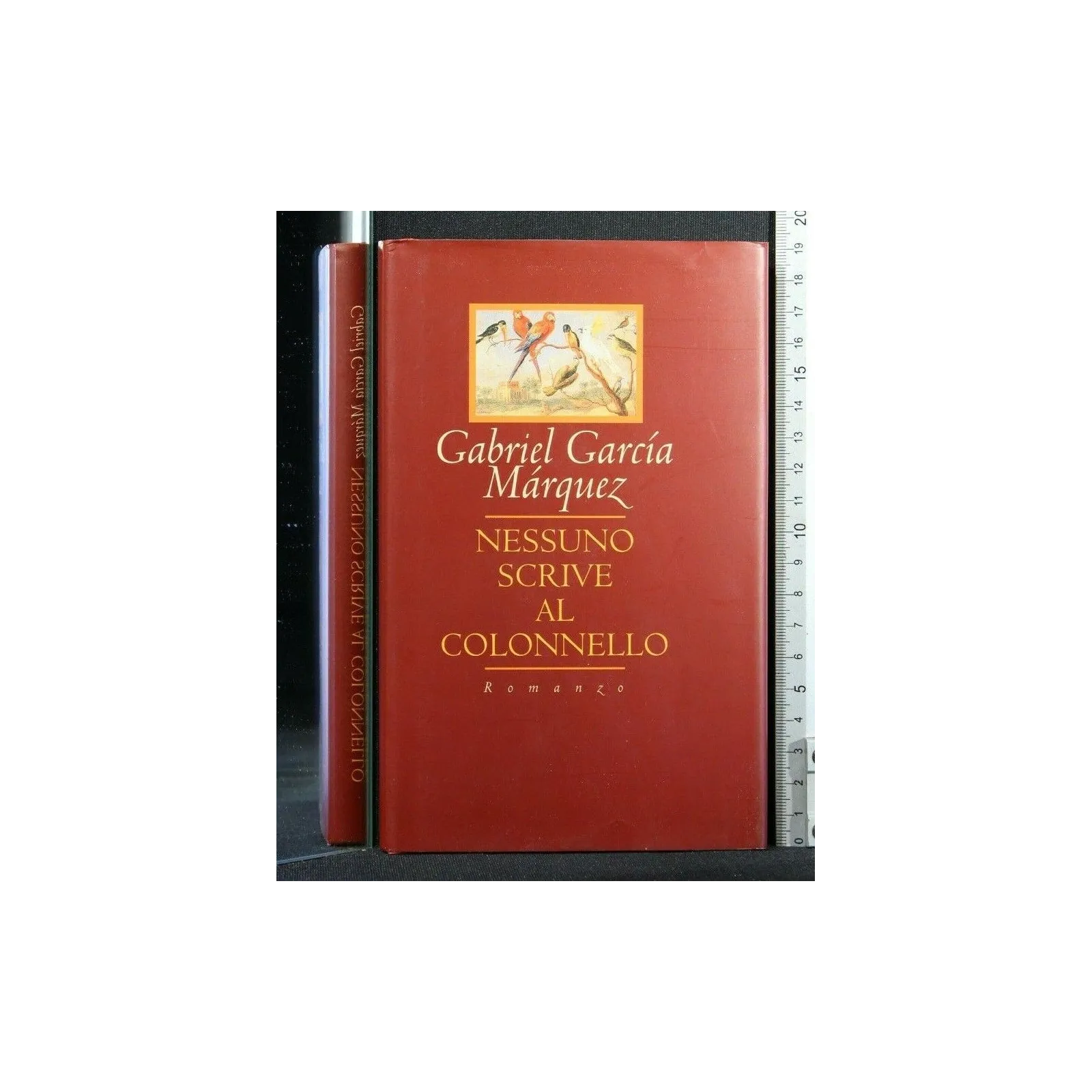 NESSUNO SCRIVE AL COLONNELLO