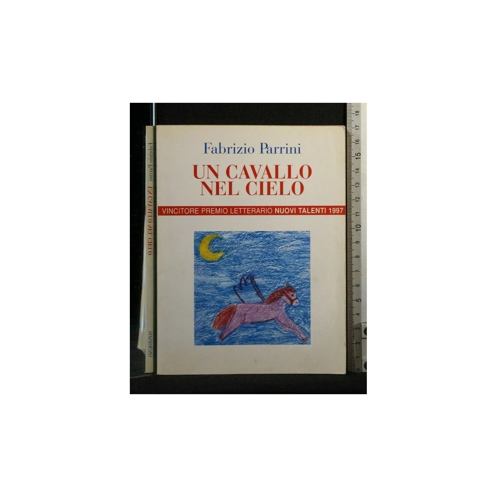 UN CAVALLO NEL CIELO