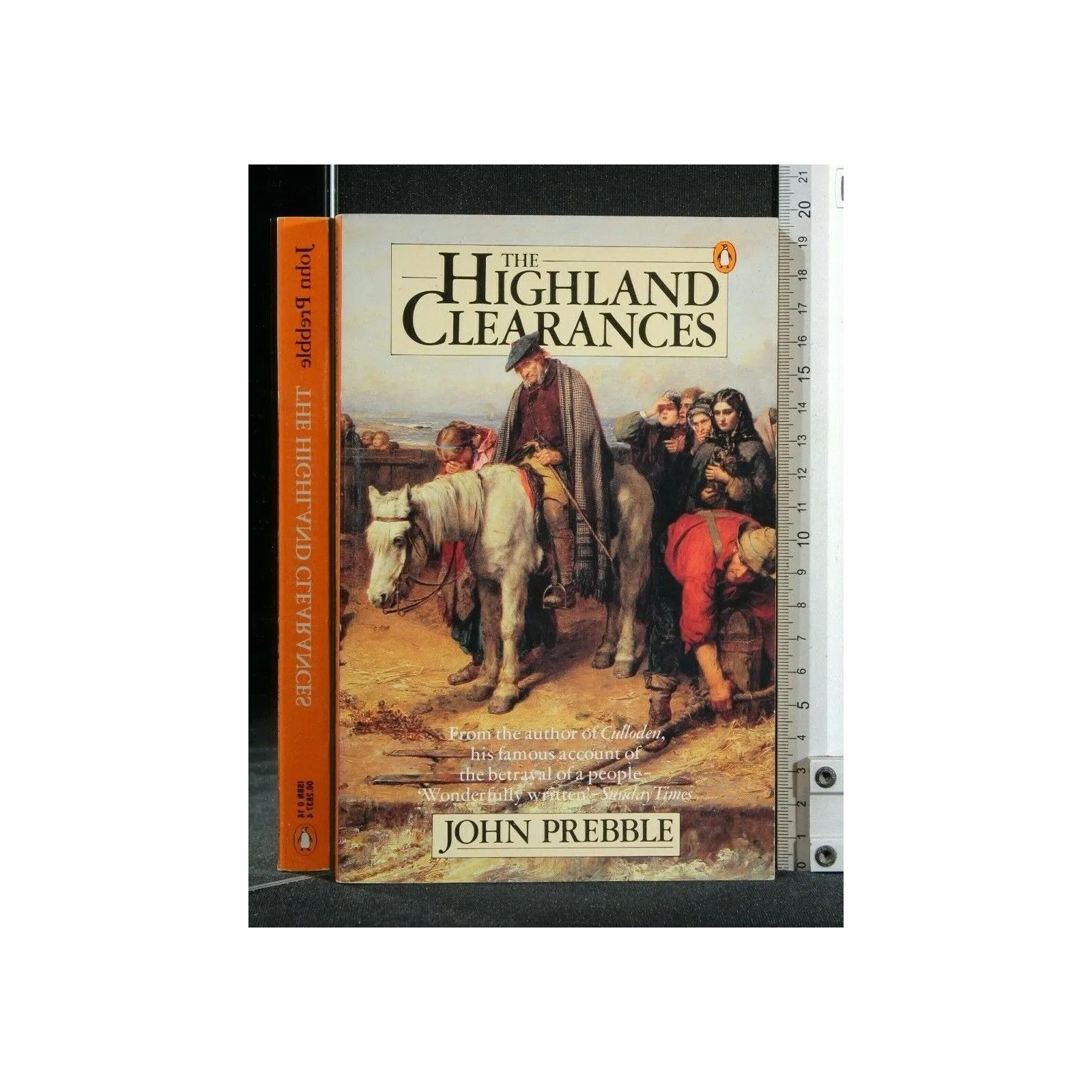 THE HIGHLAND CLEARANCES
