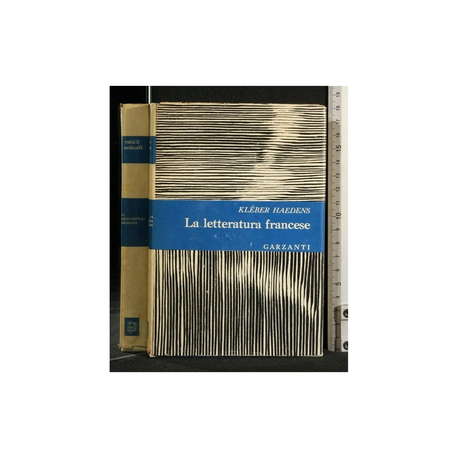 LA LETTERATURA FRANCESE