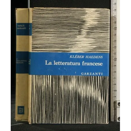 LA LETTERATURA FRANCESE