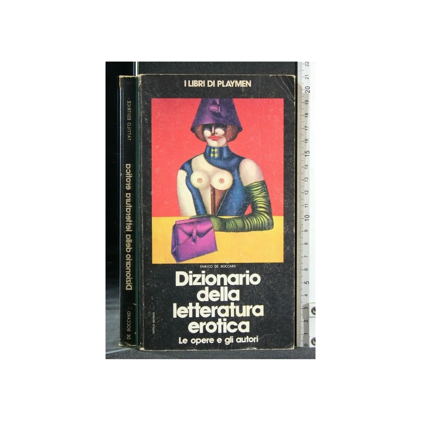 DIZIONARIO DELLA LETTERATURA EROTICA LE OPERE E GLI AUTORI