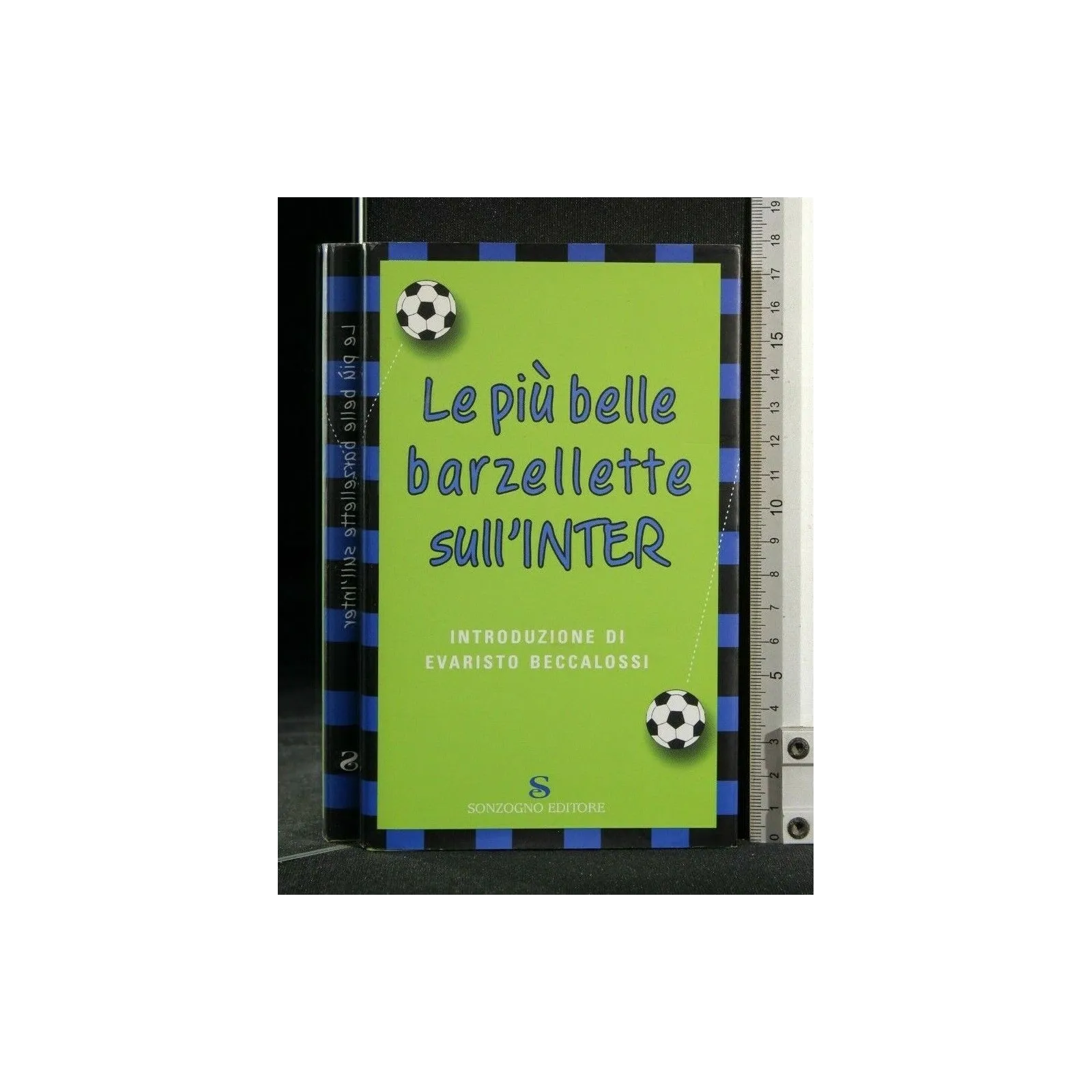 LE PIU' BELLE BARZELLETTE SULL'INTER