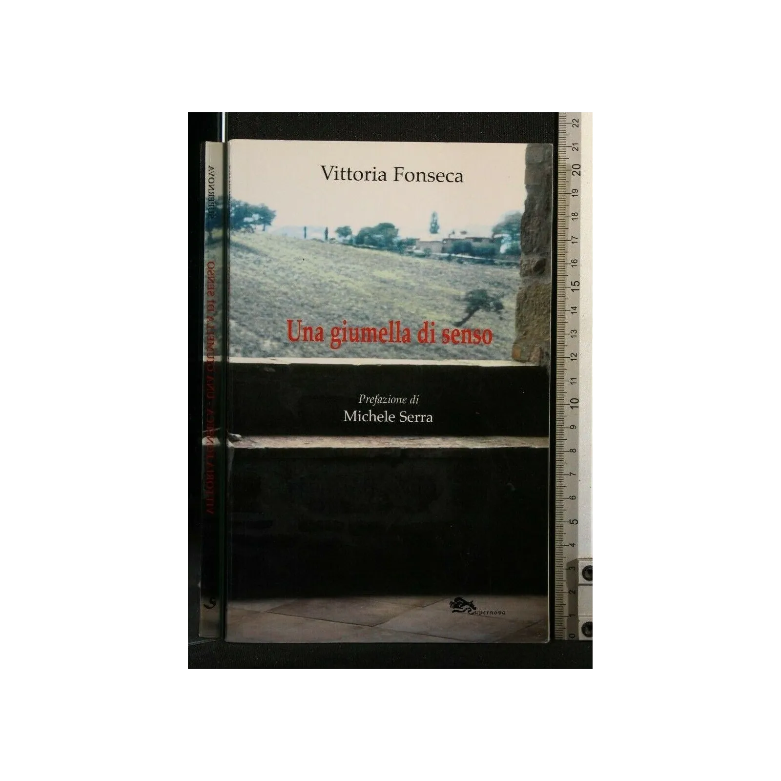 UNA GIUMELLA DI SENSO