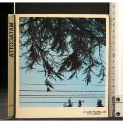 IL CASTORO MATACOTTA