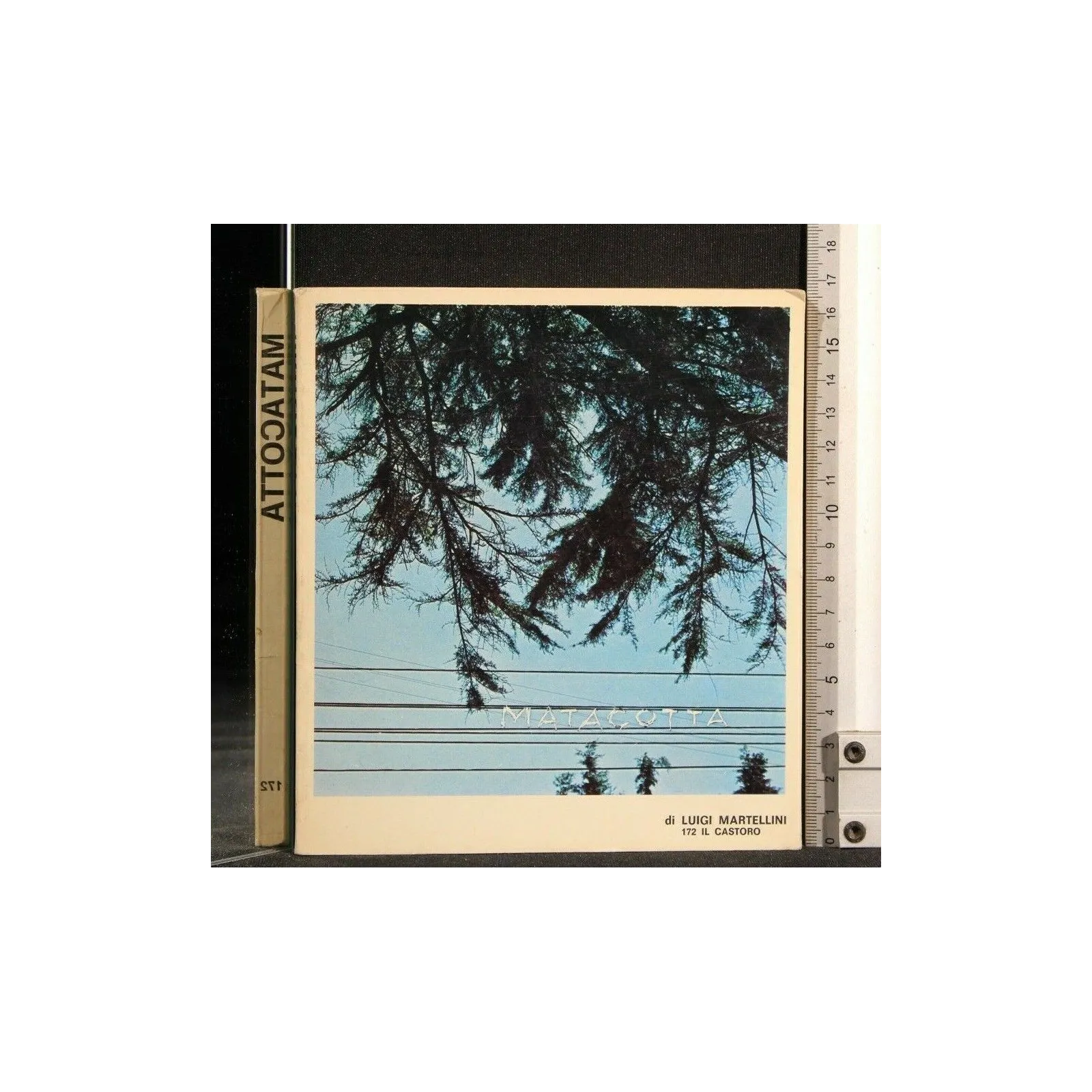 IL CASTORO MATACOTTA