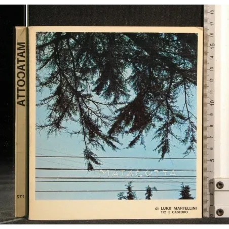 IL CASTORO MATACOTTA