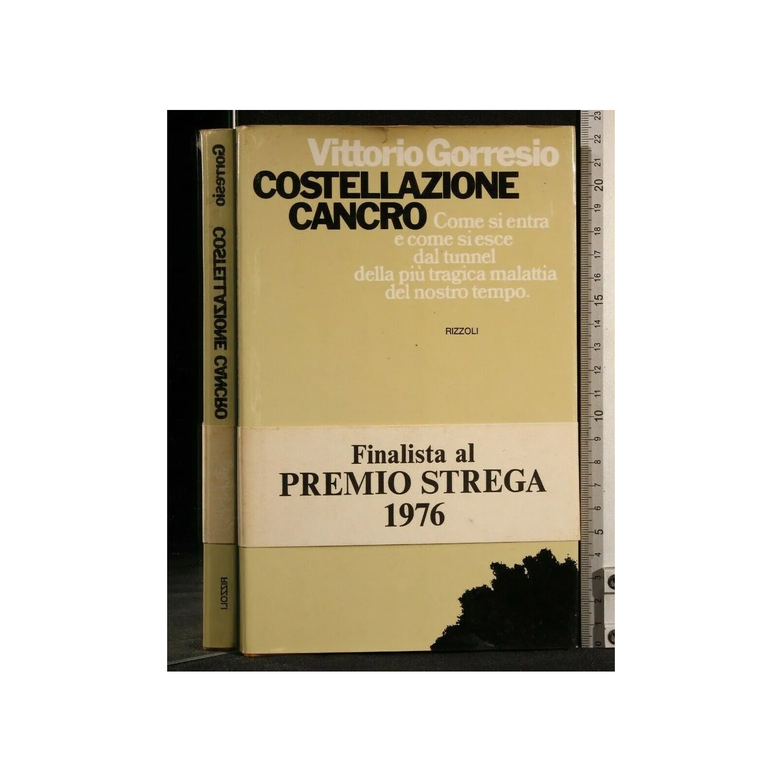 COSTELLAZIONE CANCRO. COME SI ENTRA E COME SI ESCE DAL TUNNEL