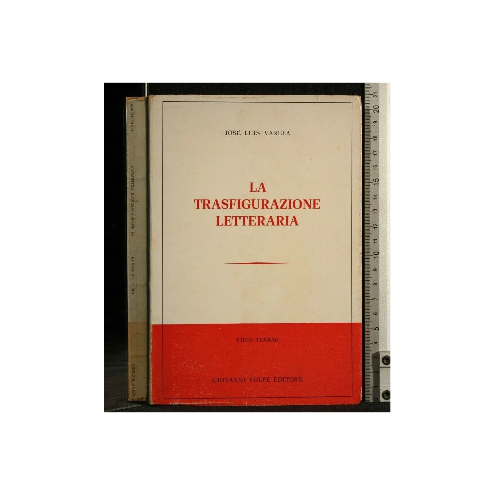 LA TRASFIGURAZIONE LETTERARIA