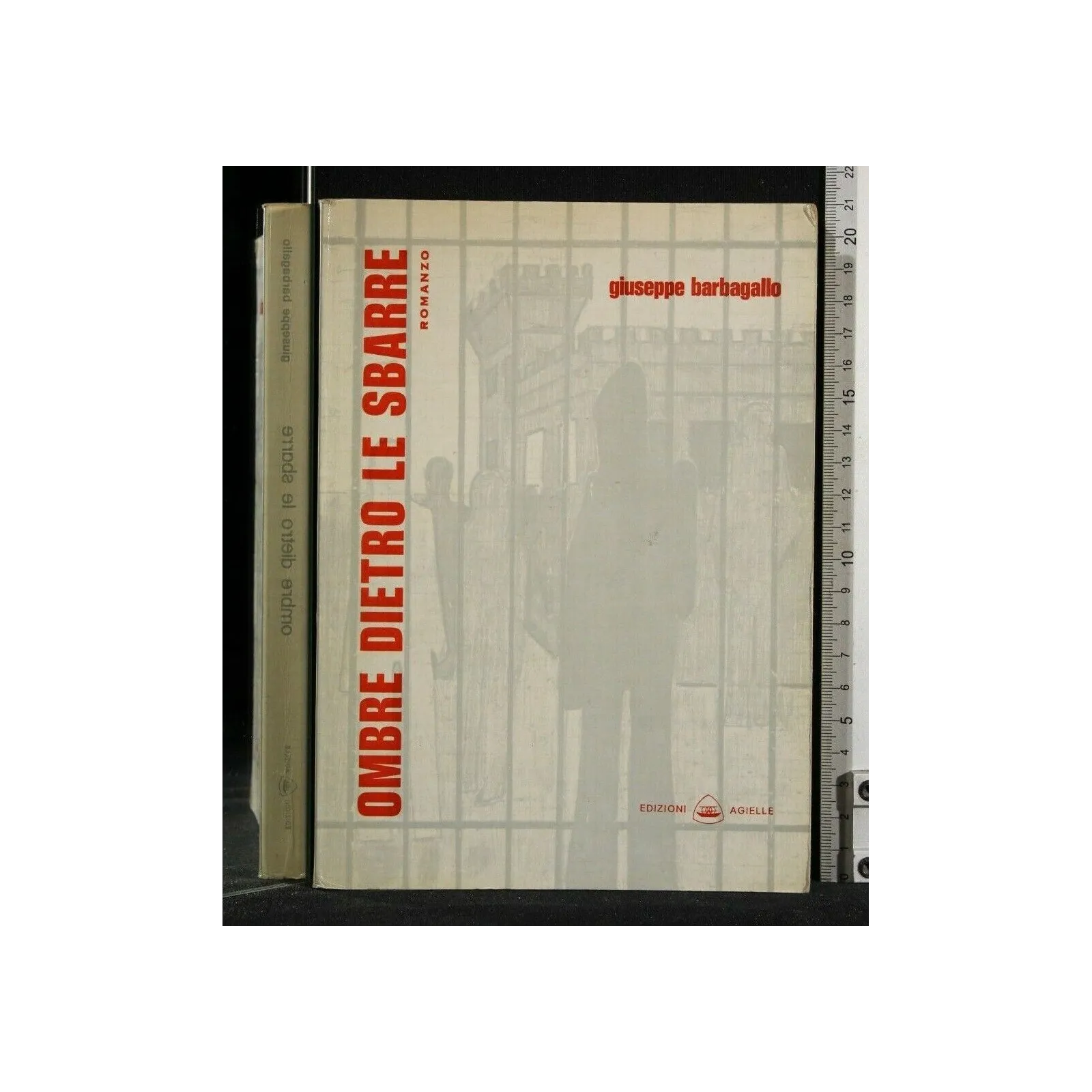 OMBRE DIETRO LE SBARRE