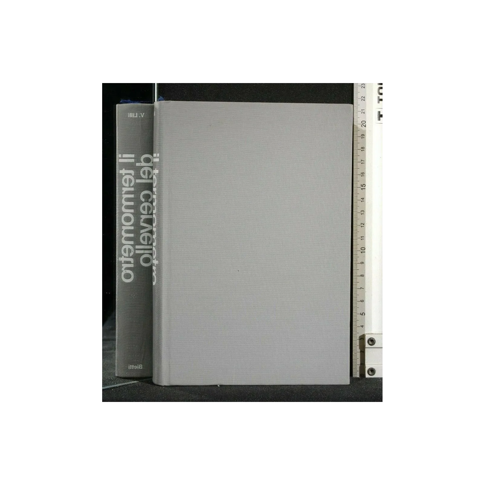 IL TERMOMETRO DEL CERVELLO