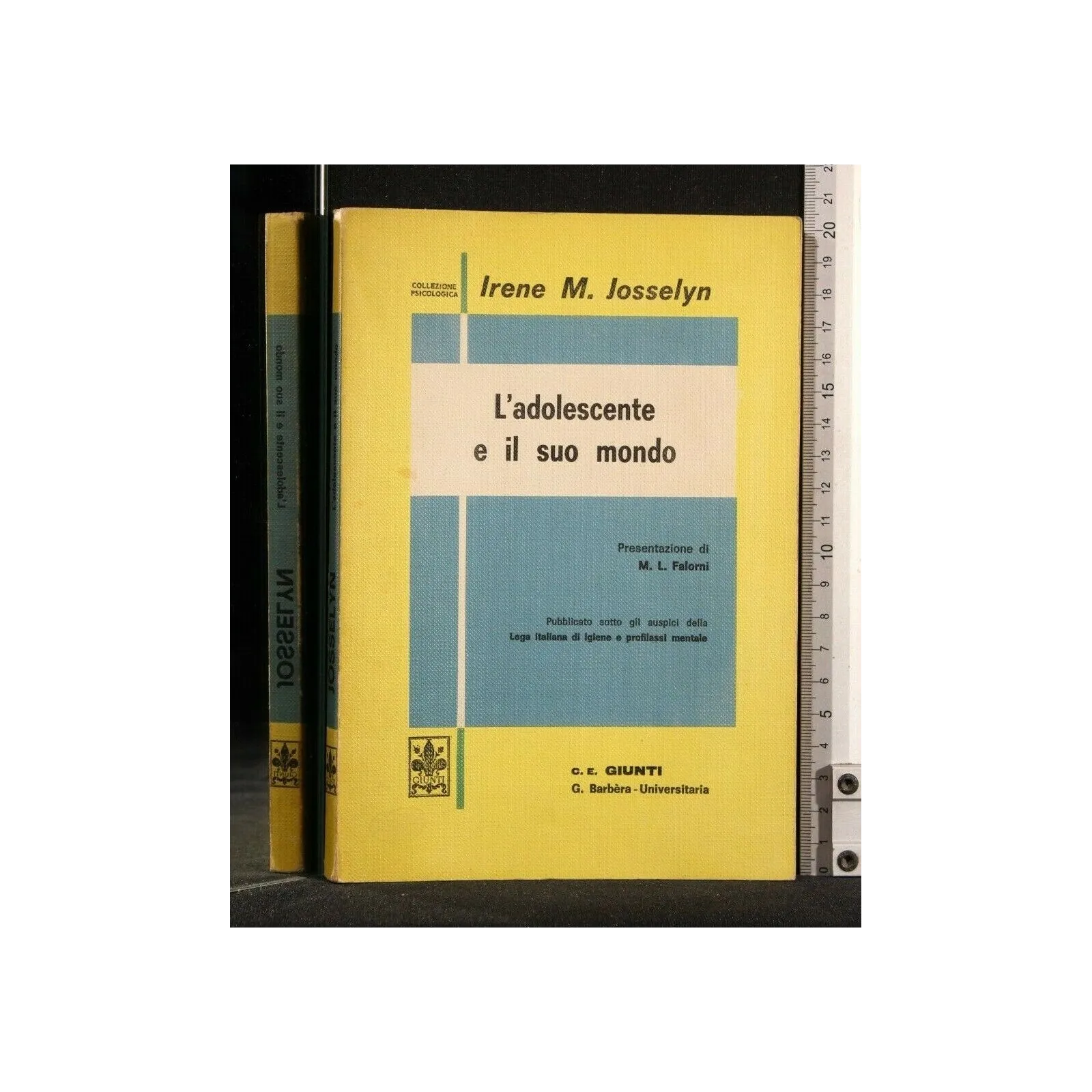 L'ADOLESCENTE E IL SUO MONDO