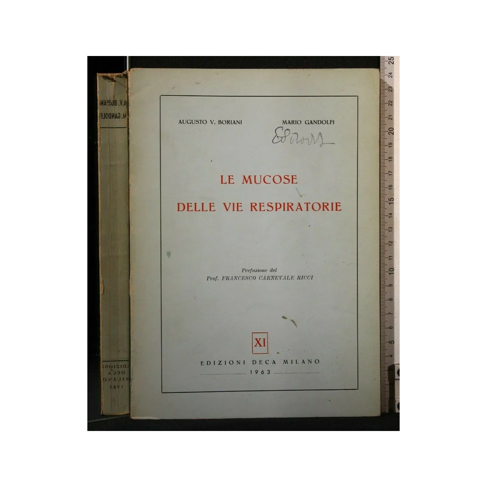 LE MUCOSE DELLE VIE RESPIRATORIE