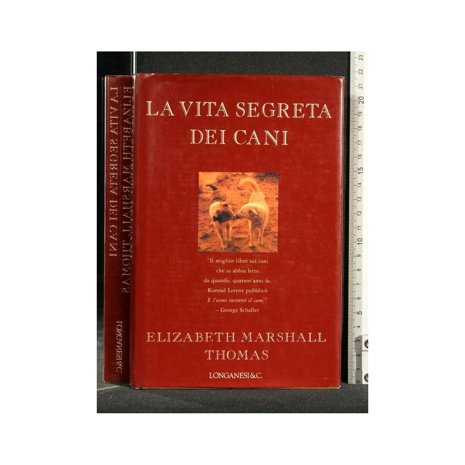 LA VITA SEGRETA DEI CANI