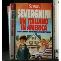 UN ITALIANO IN AMERICA