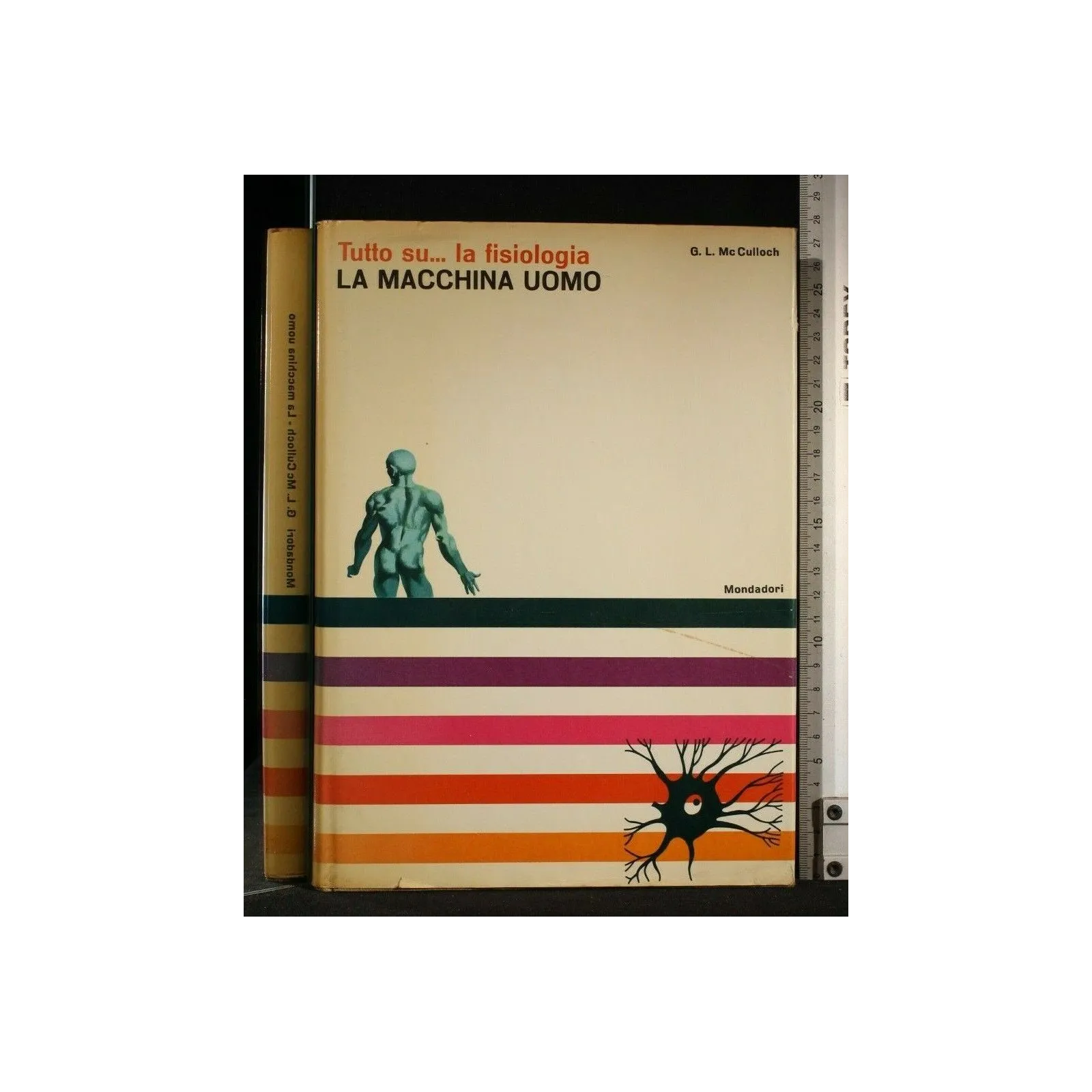 TUTTO SU...LA FISIOLOGIA LA MACCHINA UOMO