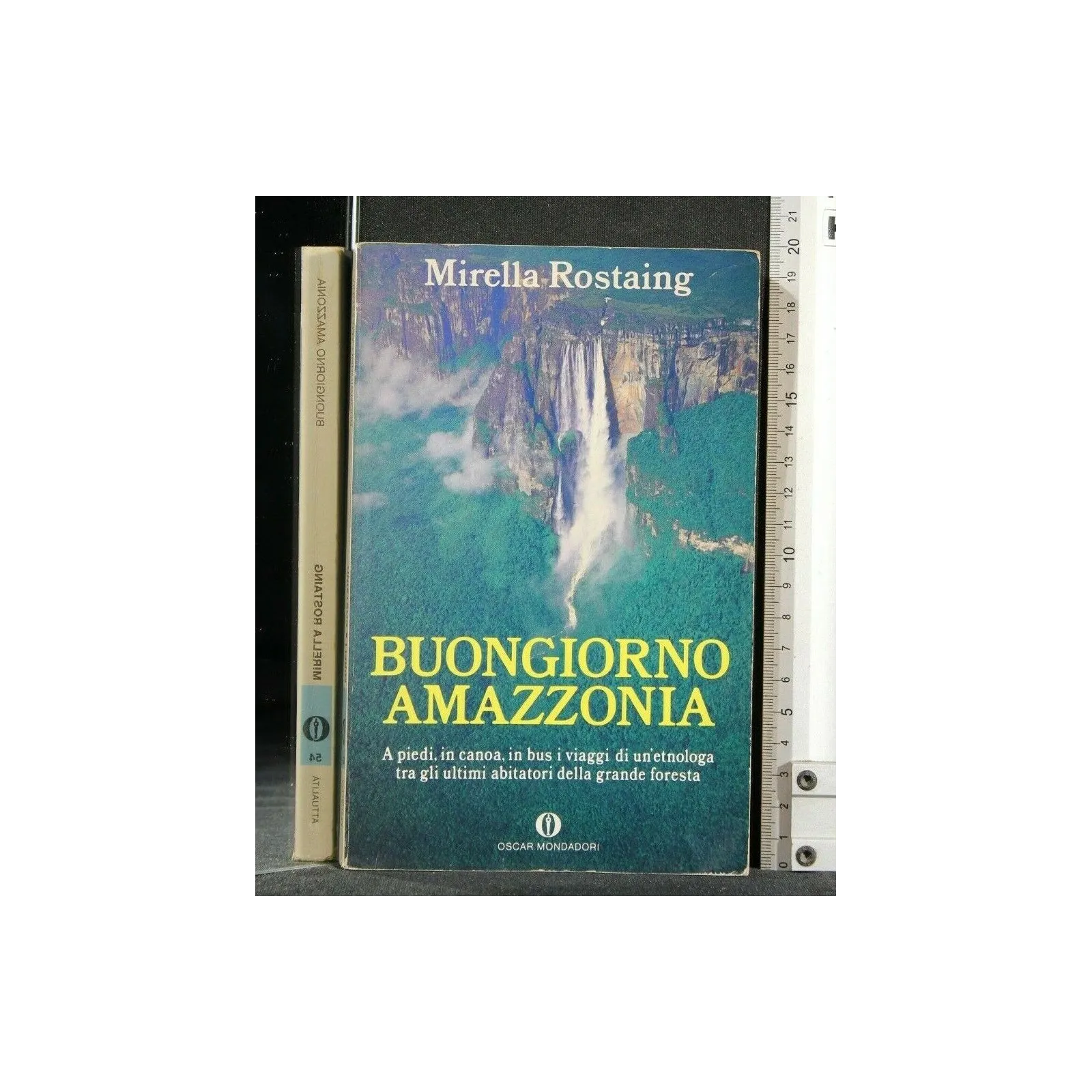 BUONGIORNO AMAZZONIA