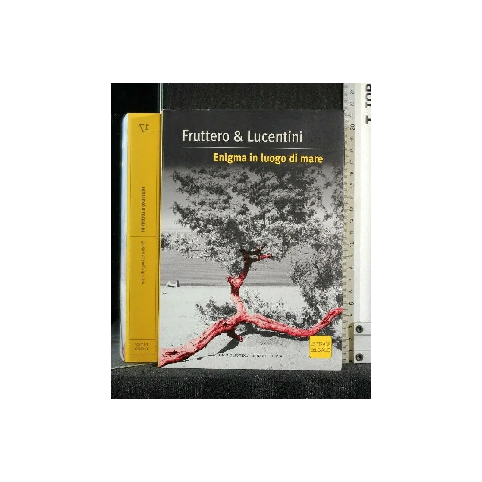 ENIGMA IN LUOGO DI MARE