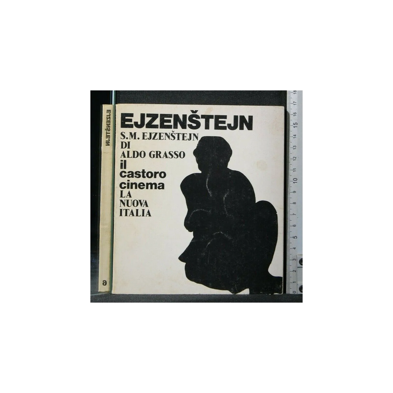 IL CASTORO CINEMA EJZENSTEJN