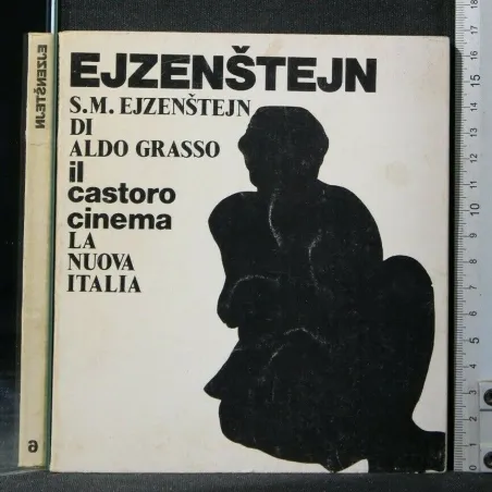 IL CASTORO CINEMA EJZENSTEJN