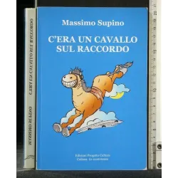 C'ERA UN CAVALLO SUL RACCORDO