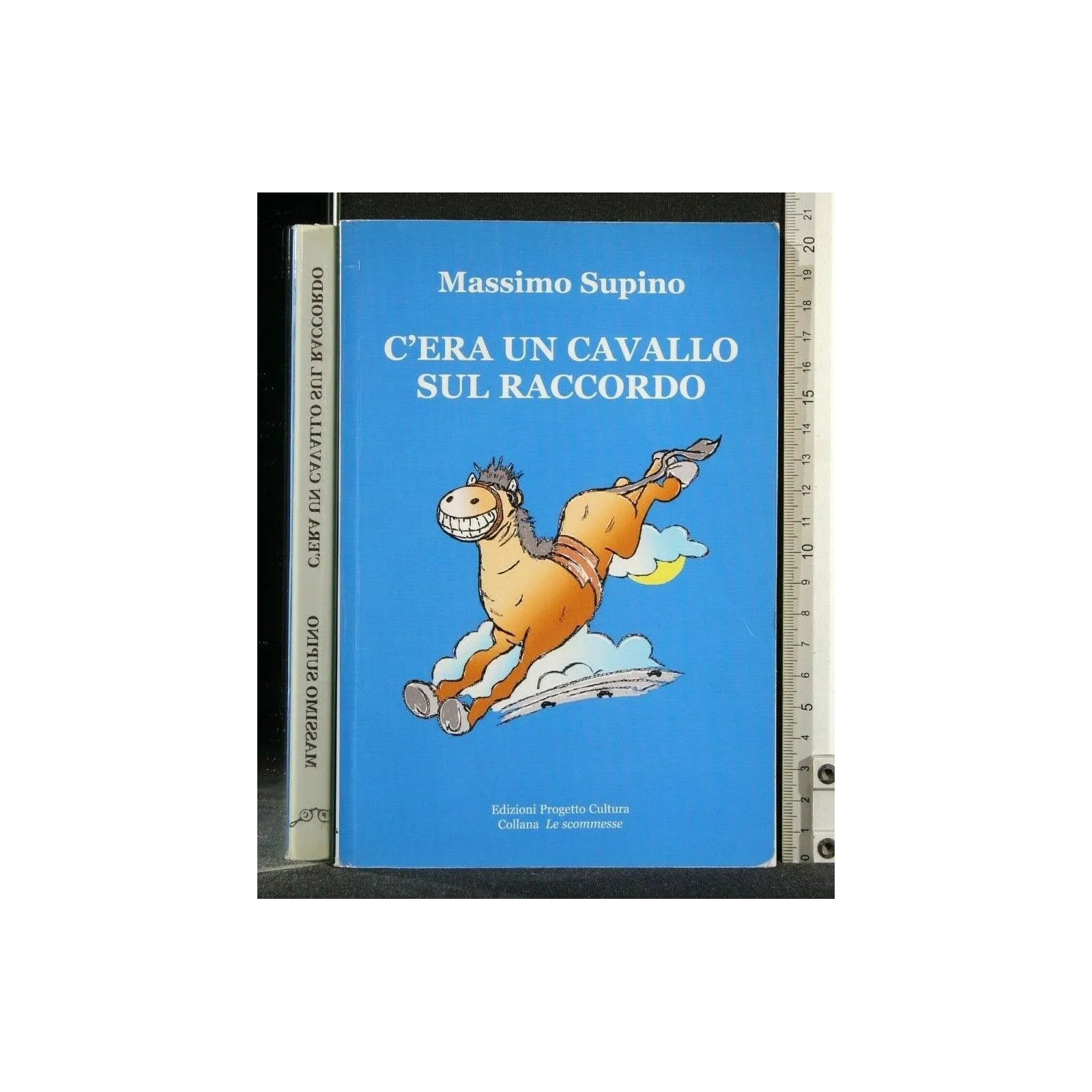 C'ERA UN CAVALLO SUL RACCORDO