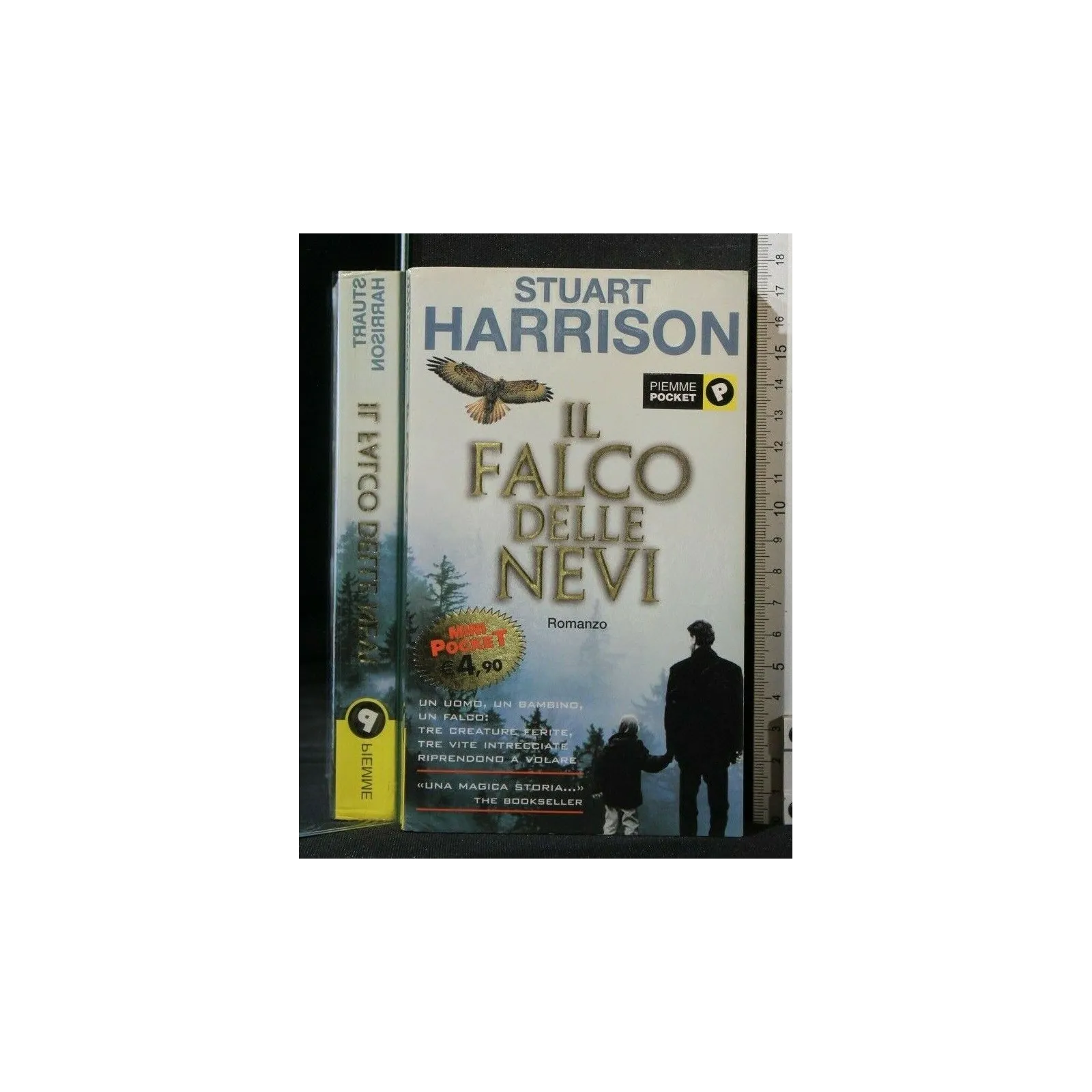 IL FALCO DELLE NEVI