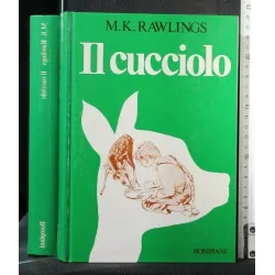 IL CUCCIOLO