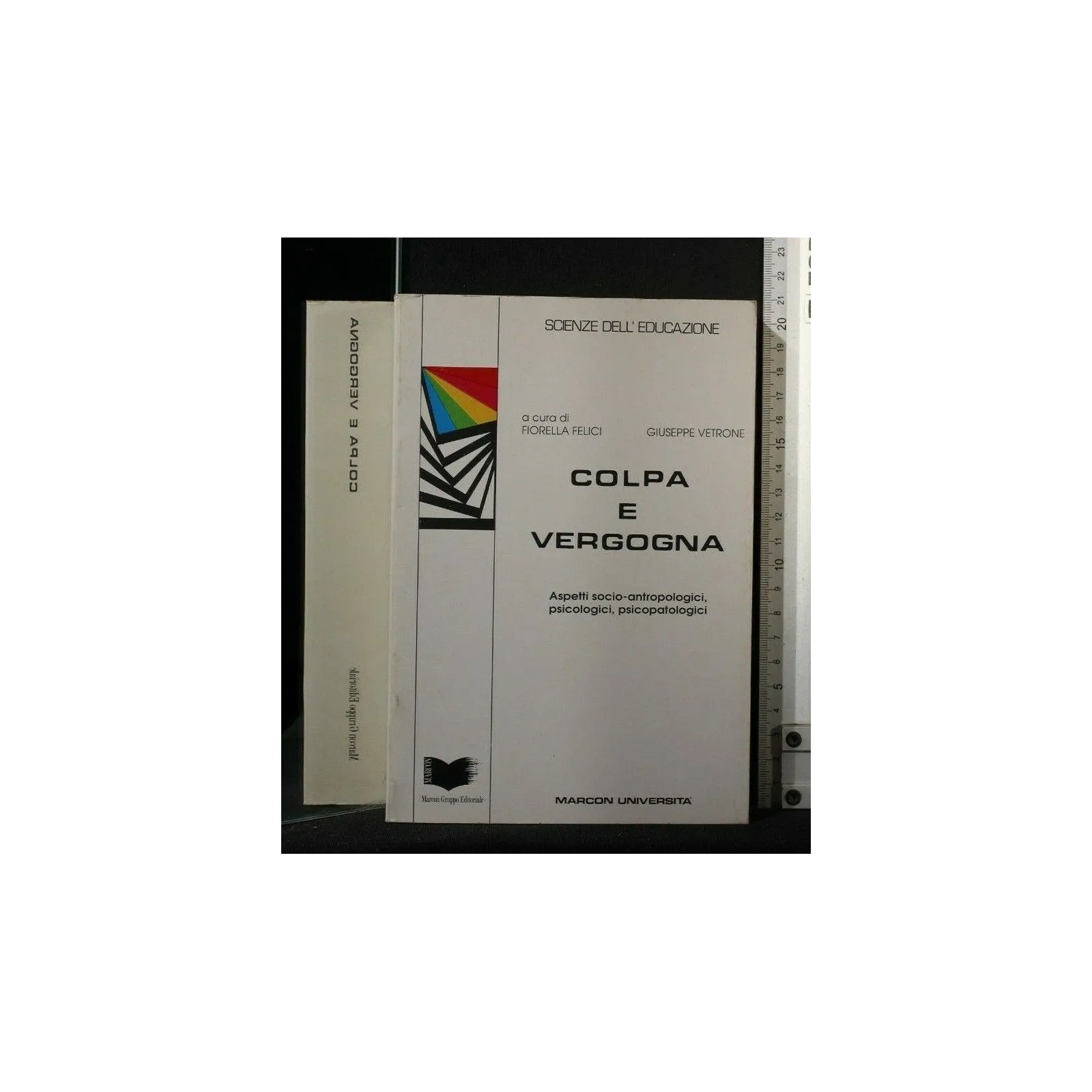 SCIENZE DELL'EDUCAZIONE COLPA E VERGOGNA ASPETTI