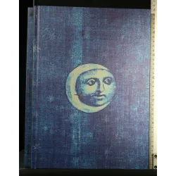 GENOVANVERSAEVICEVERSA