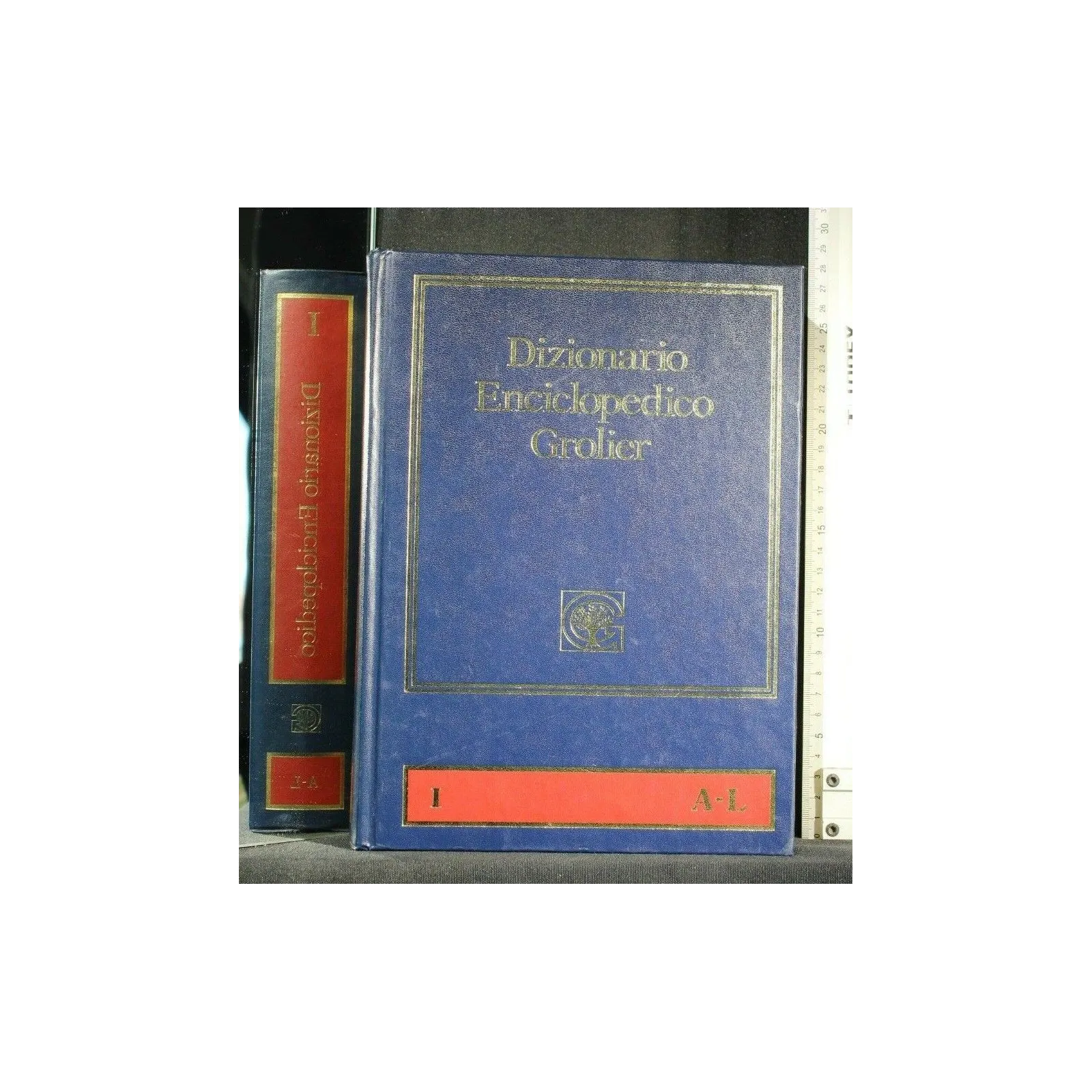 DIZIONARIO ENCICLOPEDICO GROLIER 2 VOLUMI