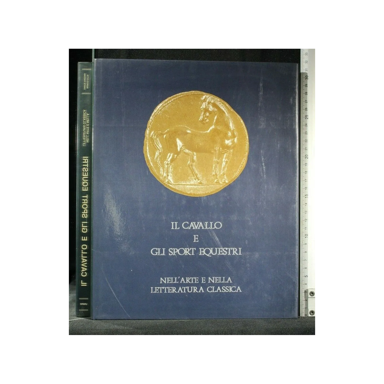 IL CAVALLO E GLI SPORT EQUESTRI