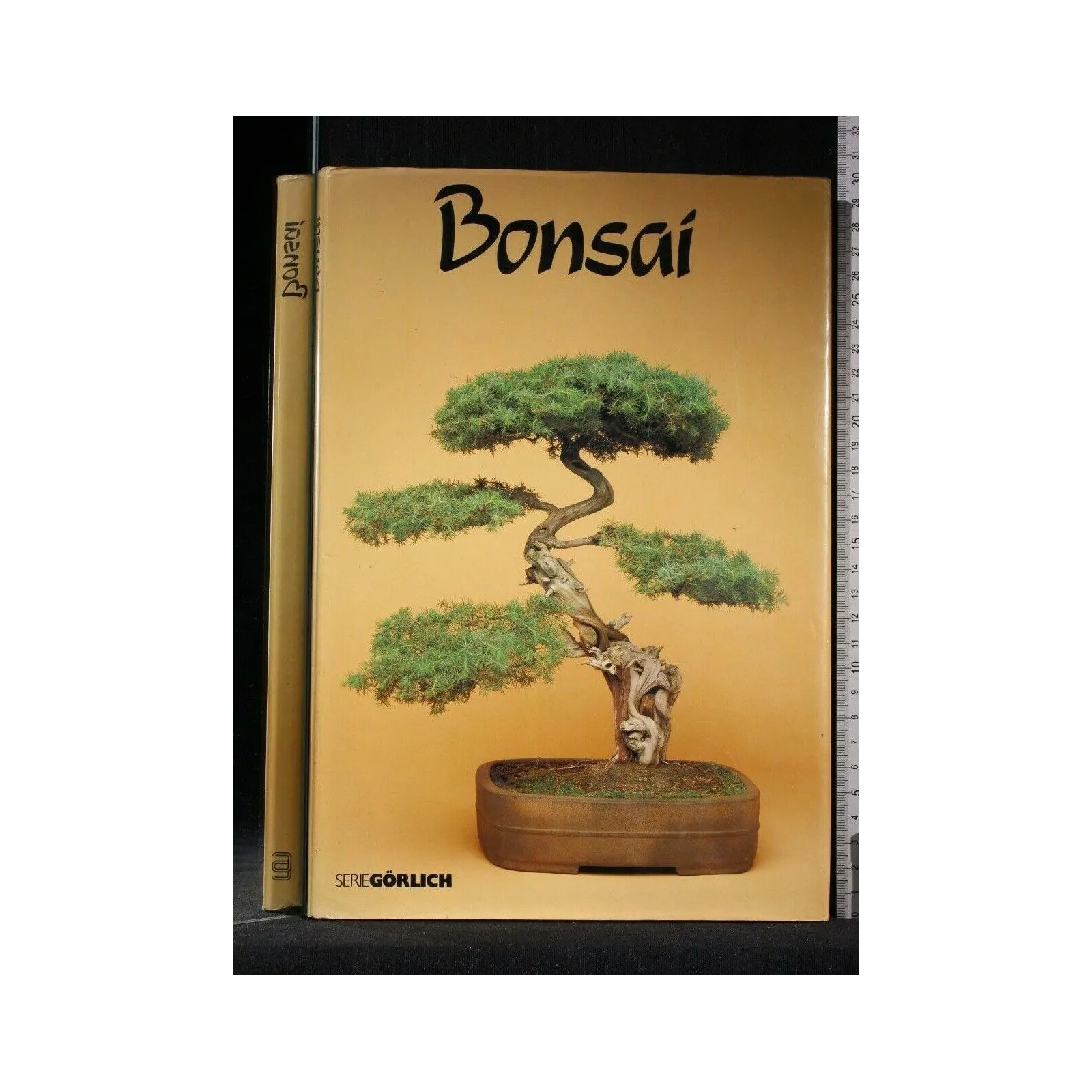 BONSAI