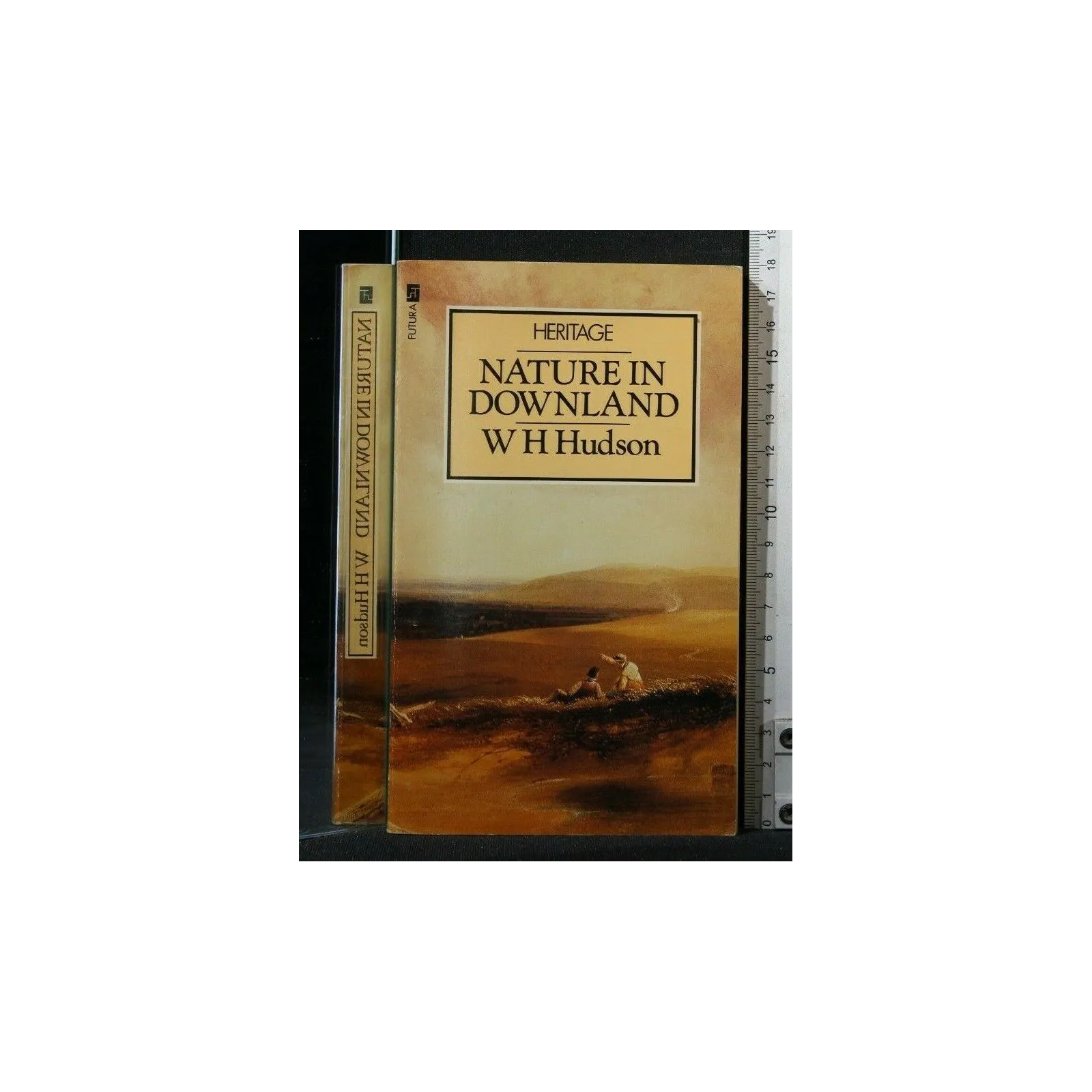 HERITAGE NATURE IN DOWNLAND