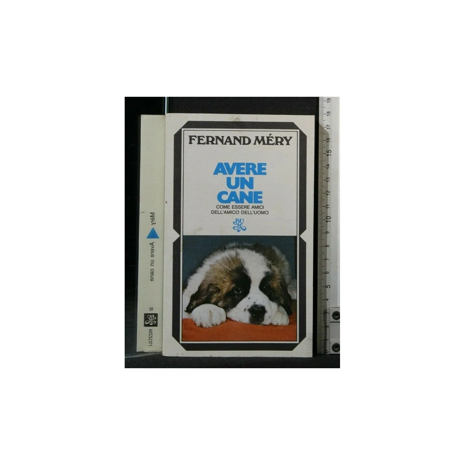 AVERE UN CANE