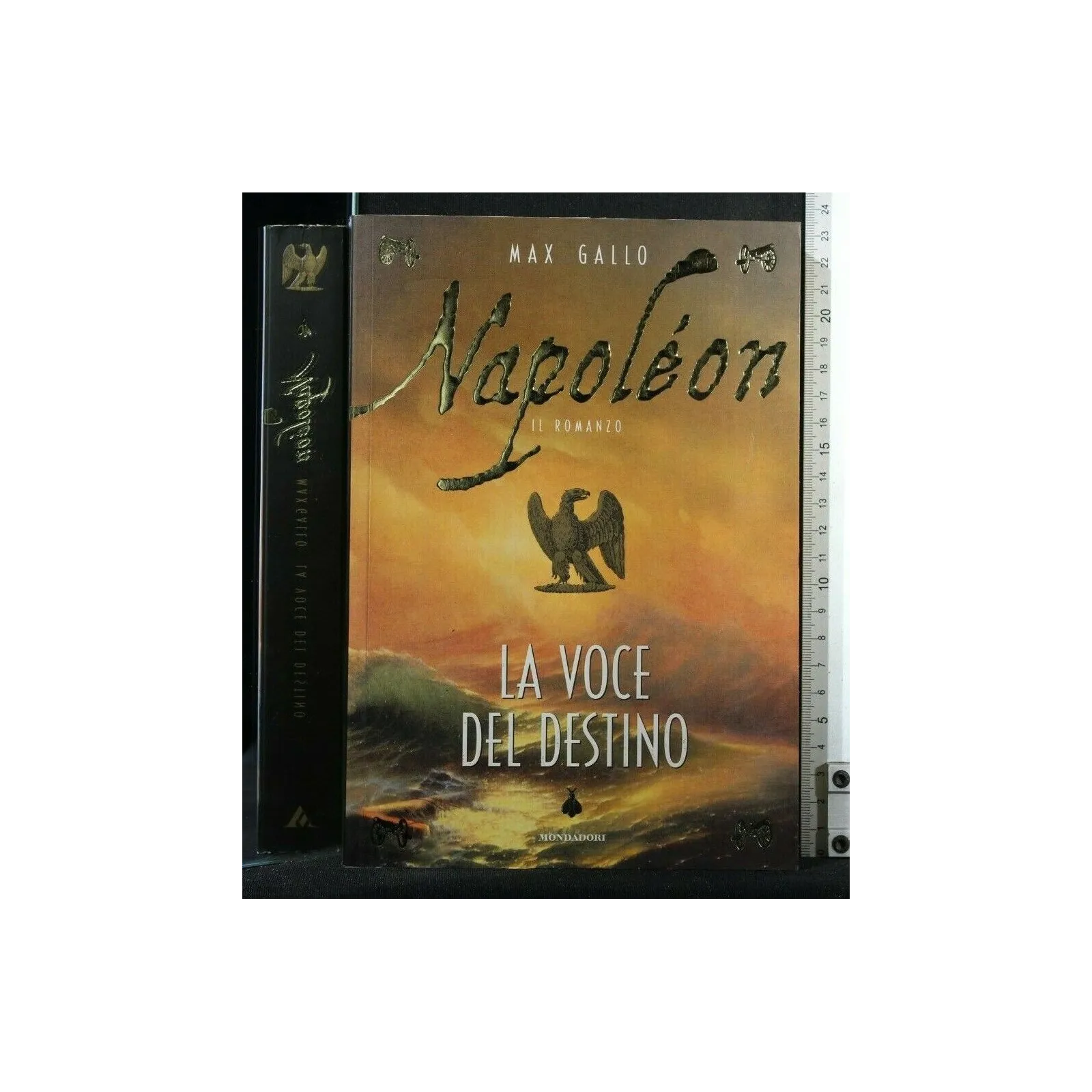 NAPOLEON LA VOCE DEL DESTINO