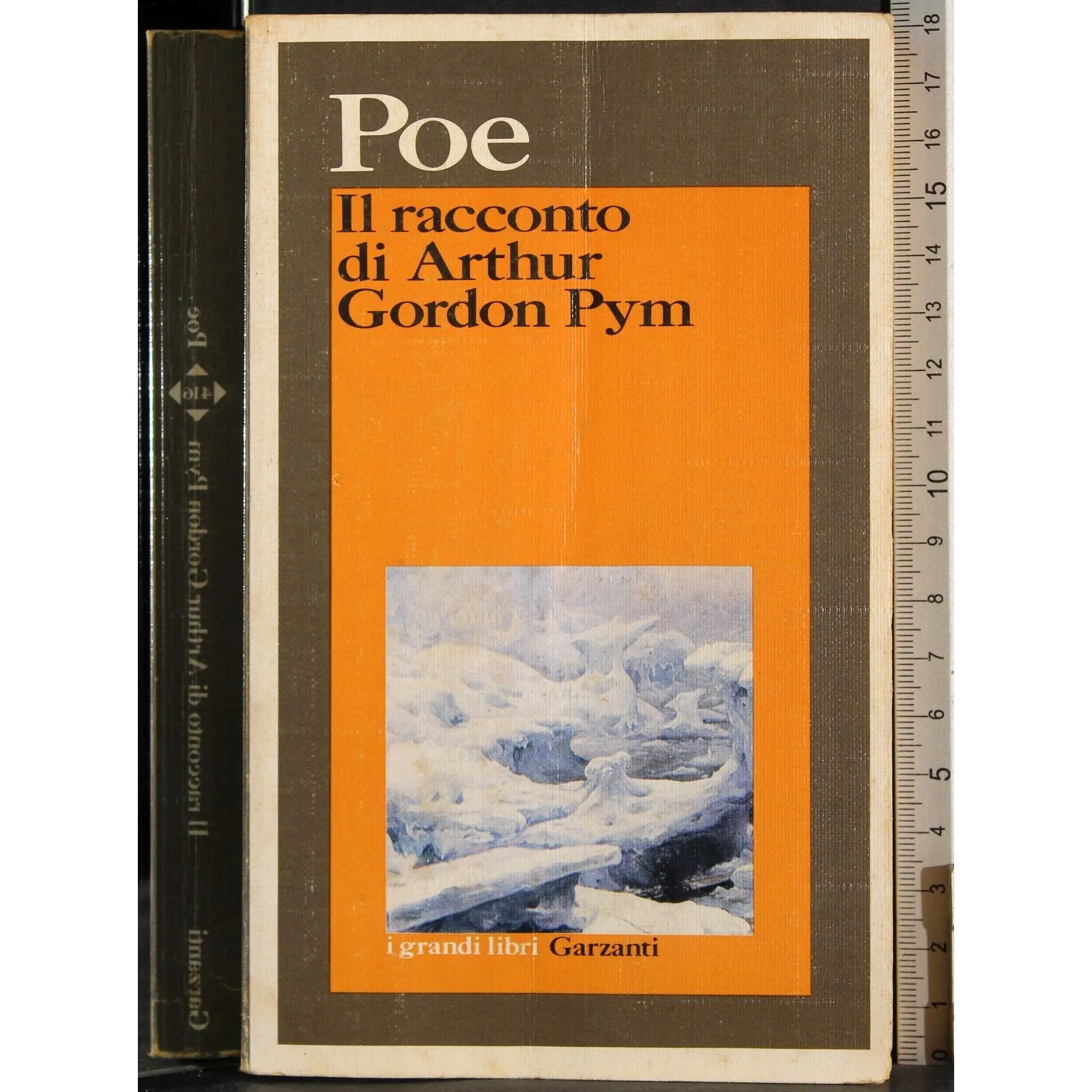 Il racconto di Arthur Gordon Pym