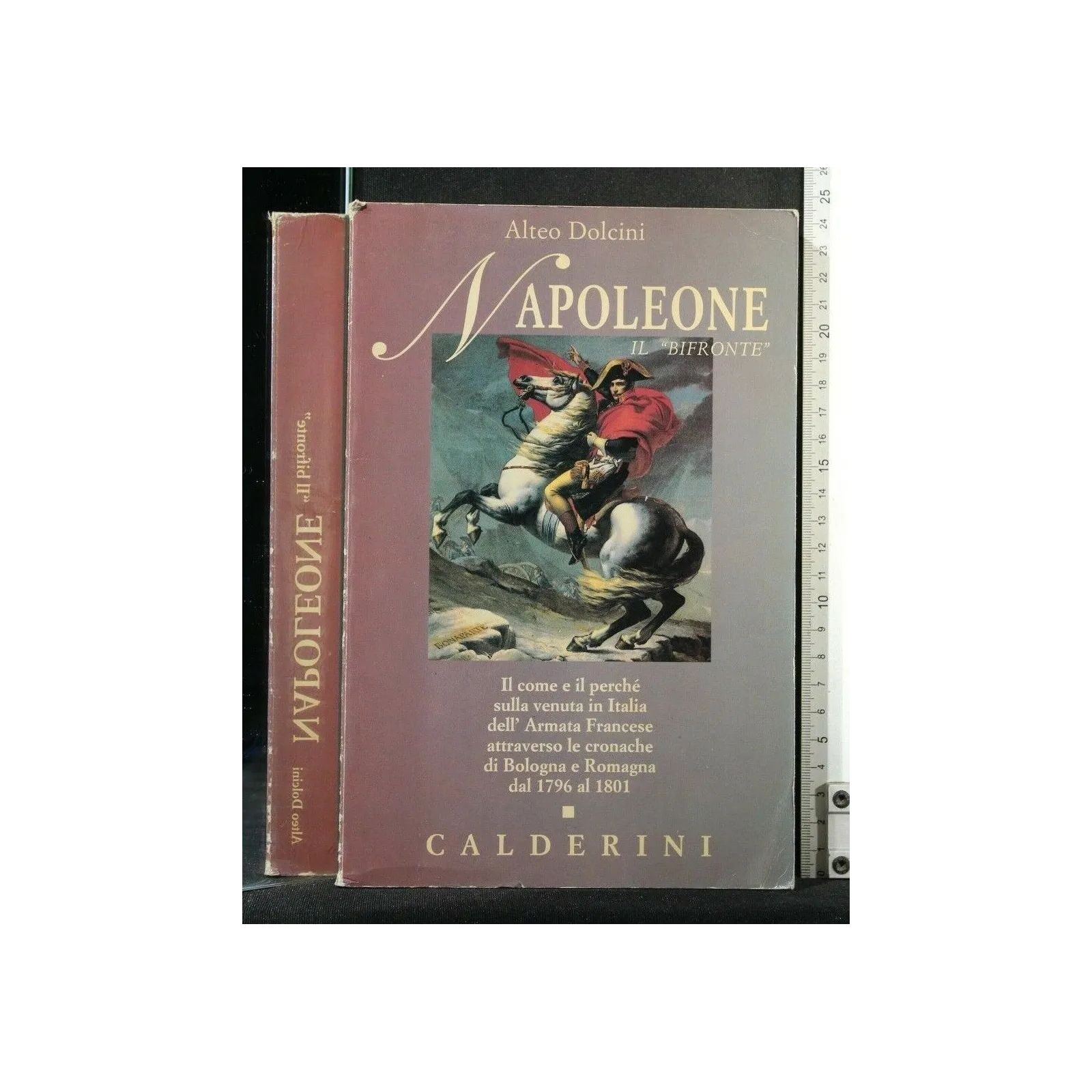 NAPOLEONE IL BIFRONTE