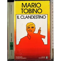 Il clandestino