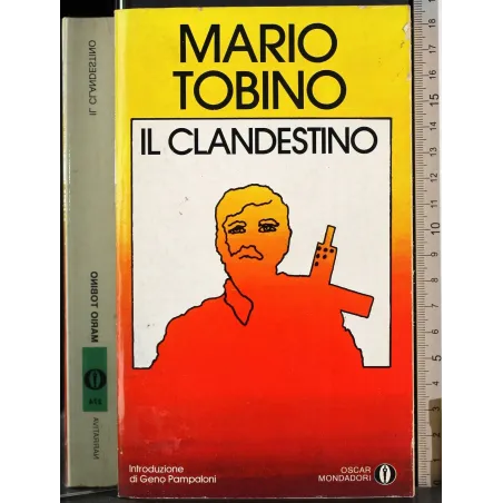 Il clandestino