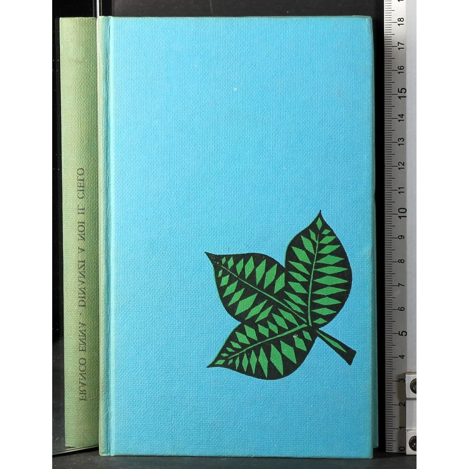 Dinanzi a noi il cielo