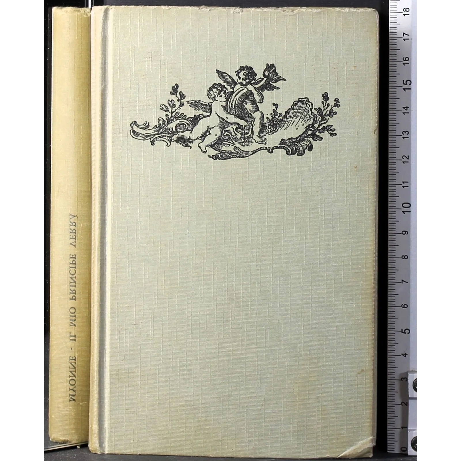 Il mio princiope verrà