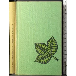 Il diario di giulietta