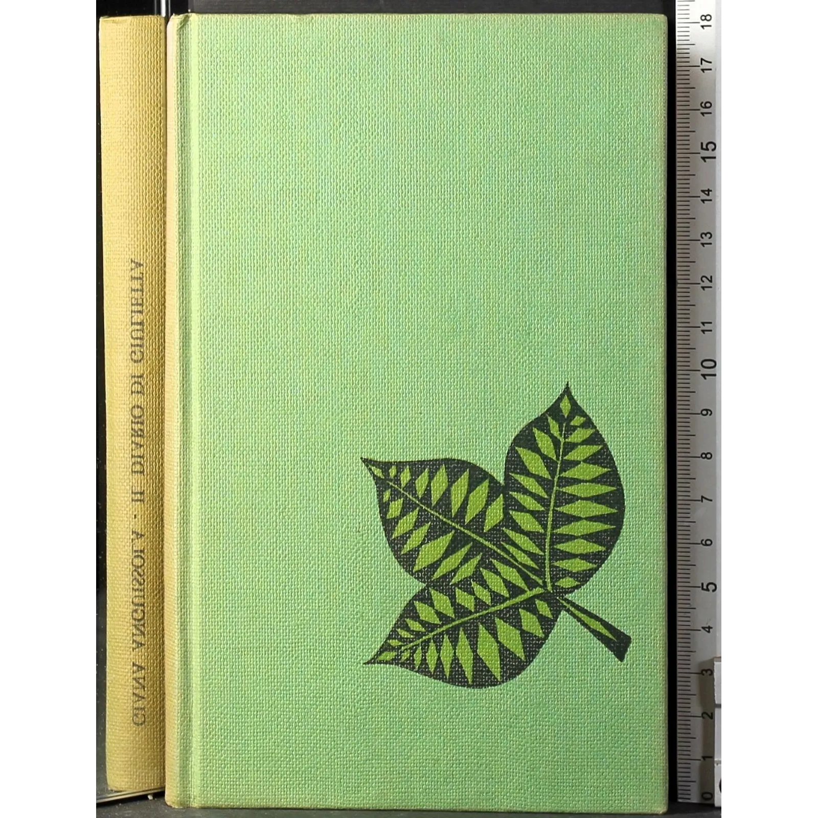 Il diario di giulietta