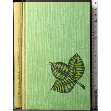 Il diario di giulietta