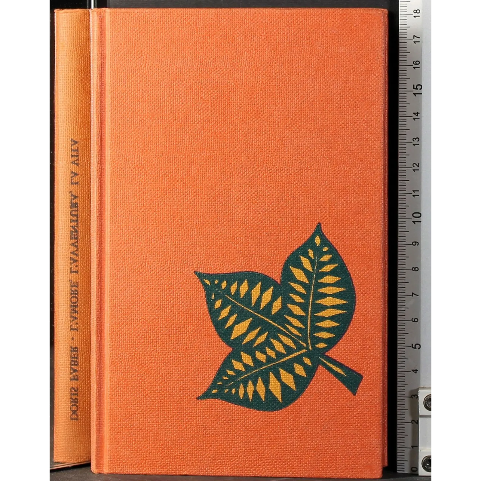 L'amore , l'avventura, la vita