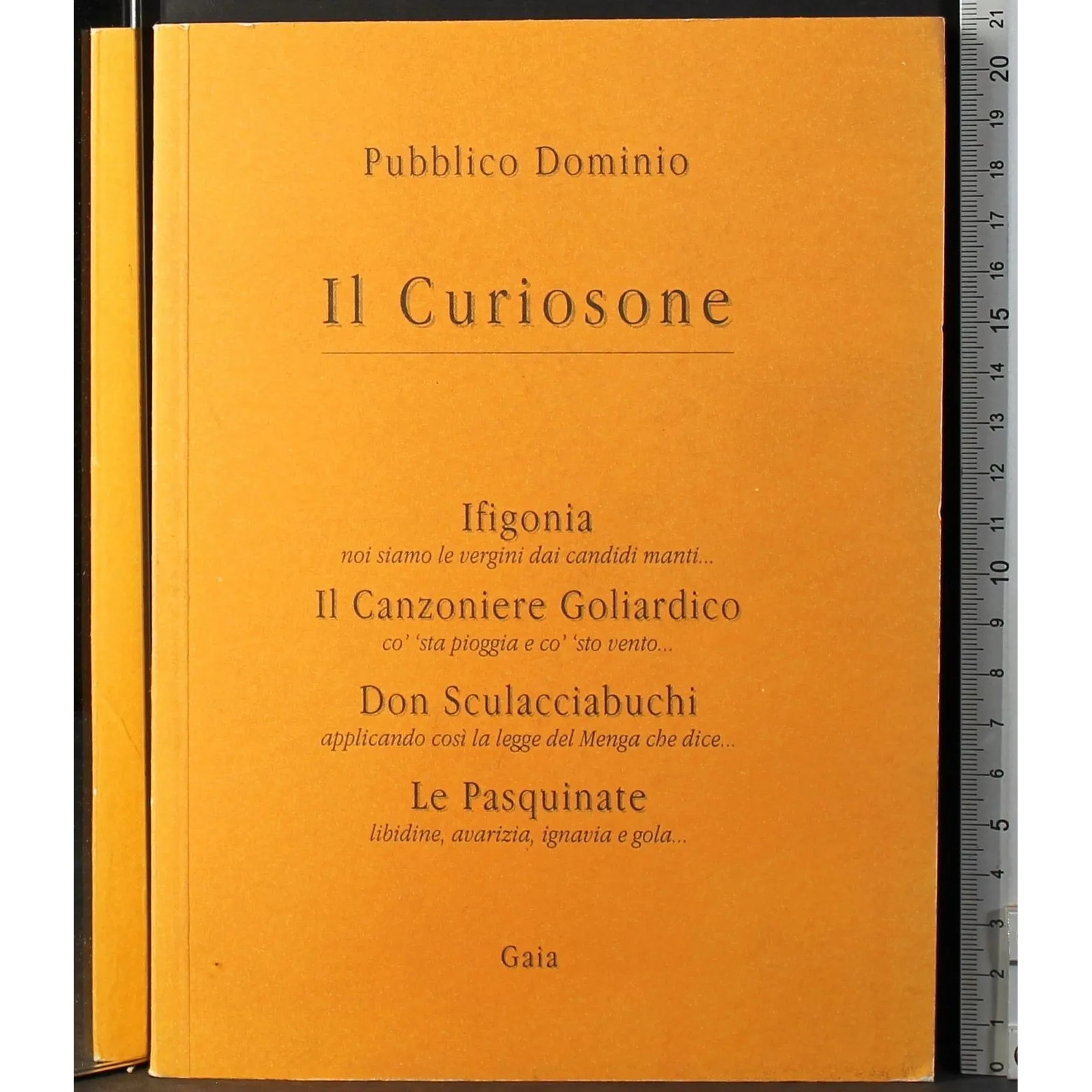 Il curiosone
